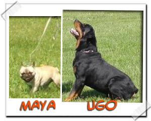 Maya e Ugo