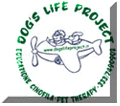 Dog's Life Project